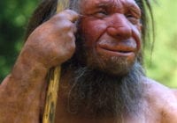 Jagten på den danske neandertaler er sat ind