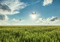 Afgrøder til fremtidens klima skal findes med droner og algoritmer
