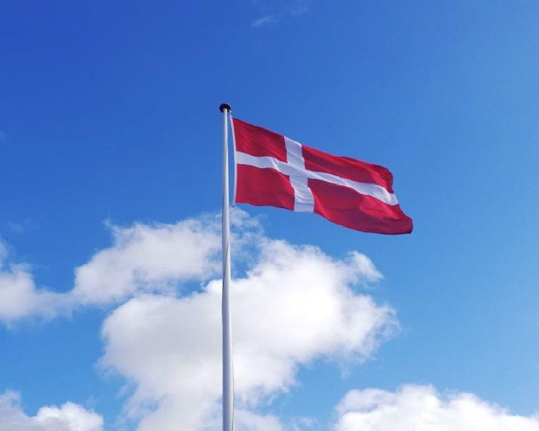 Den Nationale Flagdag blev markeret ved flot arrangement i Skyttehushaven
