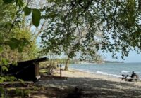 Nyt shelter ved Strandmølle Strand, Nordsjælland. Pressefoto